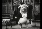 Le Cochon Danseur (The Dancing Pig)