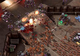 Zerg Rush