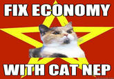Lenin Cat