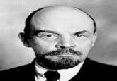 Lenin Cat