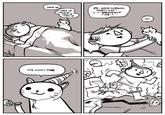 Party Cat