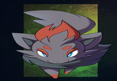 Zorua Spam