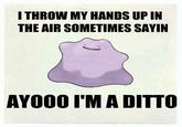 I Throw My Hands Up In The Air Sometimes Saying Ayo
