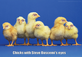 Steve Buscemeyes