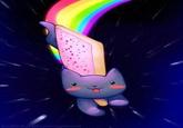 Nyan Cat / Pop Tart Cat