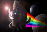 Nyan Cat / Pop Tart Cat