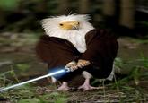 Birds with Arms