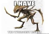 I Have The Weirdest Boner