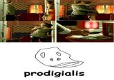 Prodigialis