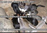 They're Eating Her!