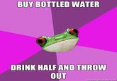 Foul Bachelorette Frog