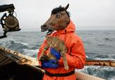 Horse Head Mask