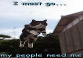 I Must Go