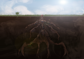 Diglett Underground