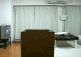 Maru the Cat