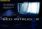 Antoine Dodson / Bed Intruder