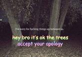 Instagram Quote Rebuttals / Hipster Edits