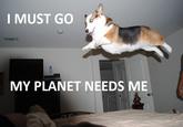 I Must Go