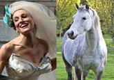 Sarah Jessica Parker Looks Like a Horse