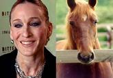 Sarah Jessica Parker Looks Like a Horse