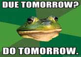 Foul Bachelor Frog