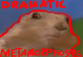 Dramatic Chipmunk