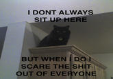 The Most Interesting Cat in the World