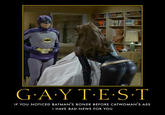Gay Test