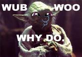 Why Wub Woo / Dashface