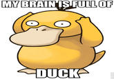 My Brain is Full of F**k