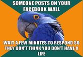 Paranoid Parrot