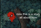 '60s Spider-Man