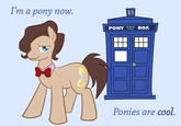 Doctor Whooves / Time Turner