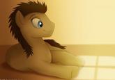 Doctor Whooves / Time Turner