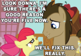 Doctor Whooves / Time Turner