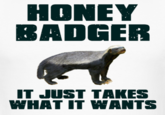 Honey Badger