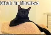 Bitch I'm Flawless