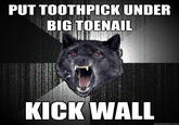 Insanity Wolf