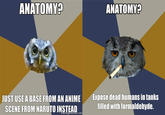 Art Student Owl