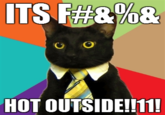 Business Cat