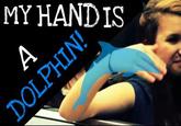 My Hand is a Dolphin