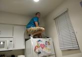 Owling
