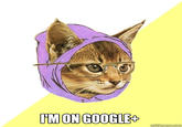 Google Plus / Google+