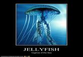 Blue Waffle