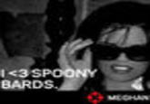 You Spoony Bard!