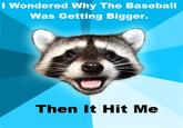 Lame Pun Coon