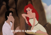 My Hand is a Dolphin