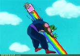 Nyan Cat / Pop Tart Cat