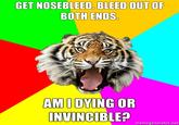 Time of the Month Tiger