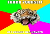 Time of the Month Tiger